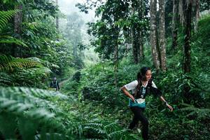 BIB: 
                            <button type="button" onclick="openModal(26359194)" class="btn btn-primary btn-sm float-right btn-popup" data-toggle="modal" data-target=".modal-high-quality">
                        <i class="fas fa-shopping-cart"></i> Add to Cart
                    </button>
                                            <button type="button" onclick="isThisMe(26359194, true)" class="btn btn-success btn-sm float-right btn-popup btn-isme hidden" data-toggle="tooltip" data-placement="bottom" title="นี่คือรูปของคุณใช่ไหม คลิกที่นี่เพื่อเอาเข้าอัลบั้ม">
                        <i class="fas fa-plus"></i> Add to album
                    </button>
                    <button type="button" onclick="isThisMe(26359194, false)" class="btn btn-warning btn-sm float-right btn-popup btn-isnotme hidden">
                        <i class="fas fa-ban"></i> Remove from album
                    </button>